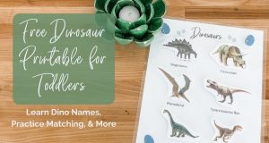 Free Dinosaur Printable for Toddlers: Practice Matching &amp; More!