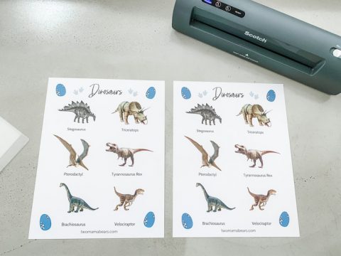 Free Dinosaur Printable for Toddlers: Practice Matching &amp; More!