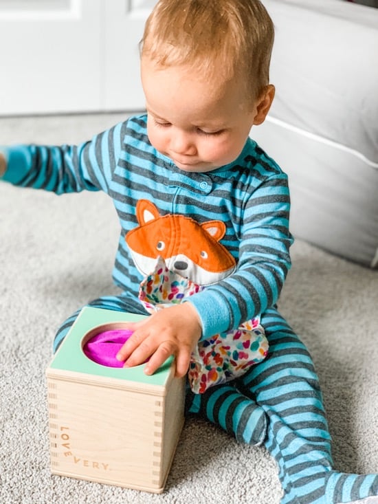 The Senser Play Kit, 5- to 6-Month-Old Baby Toys