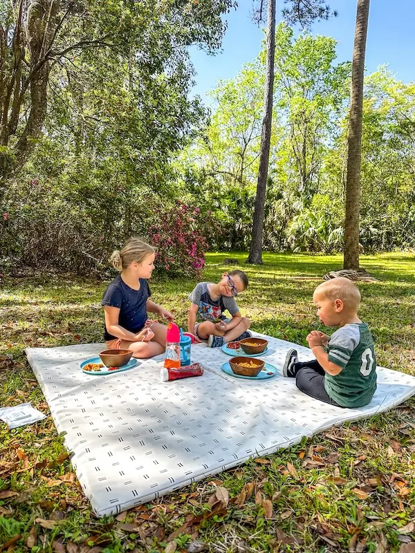 picnic in nature with the toki mat
